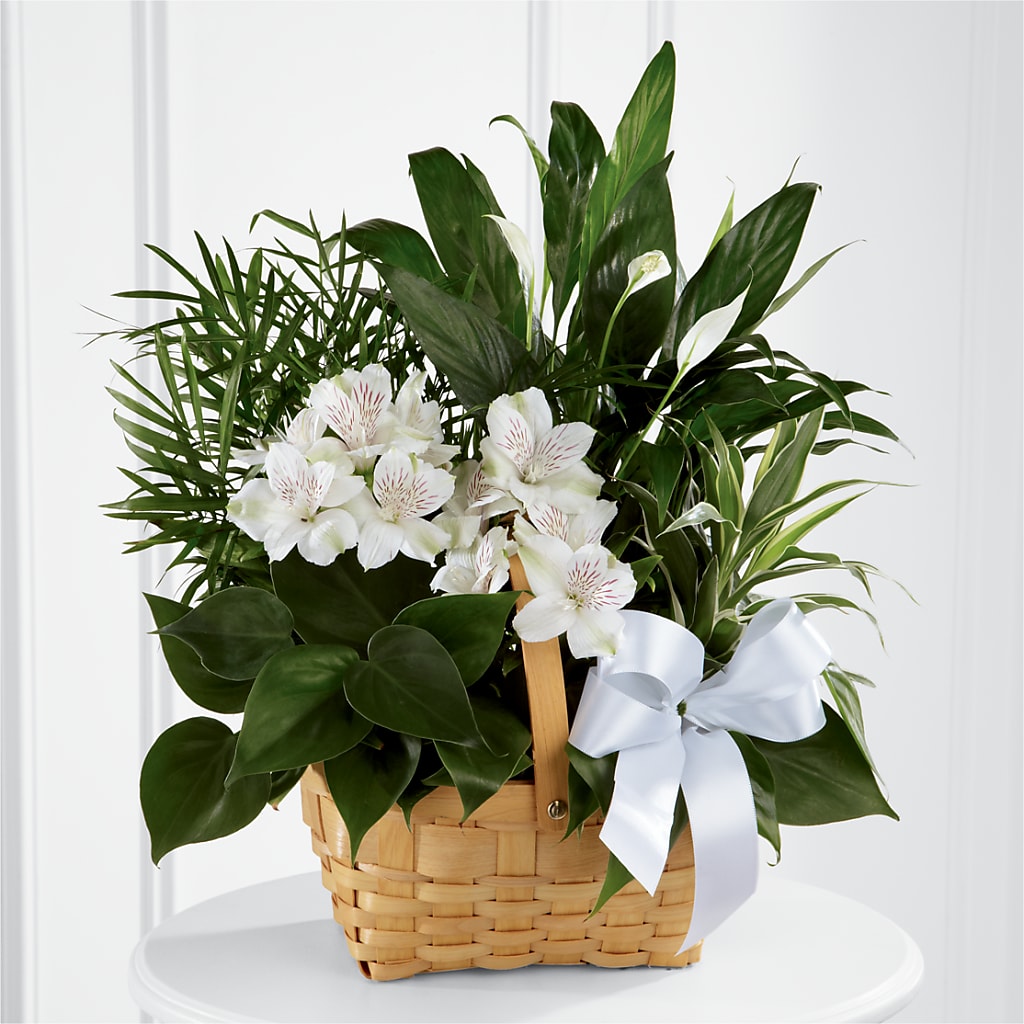 Peace & Serenity Dishgarden – Flowers Forever, Carlsbad CA
