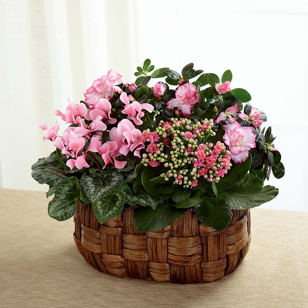 Pink Assortment – Flowers Forever, Carlsbad CA
