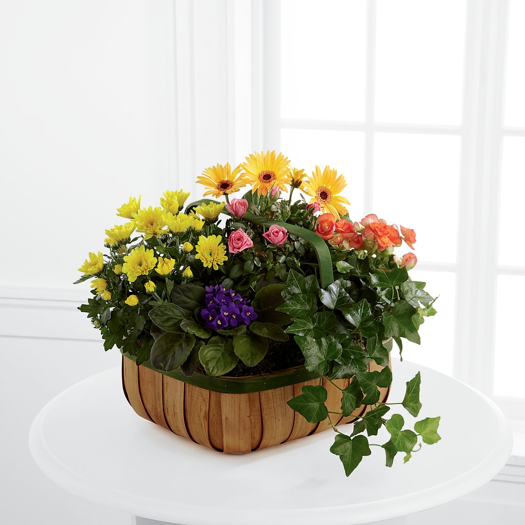 Gentle Blossoms Basket – Flowers Forever, Carlsbad CA