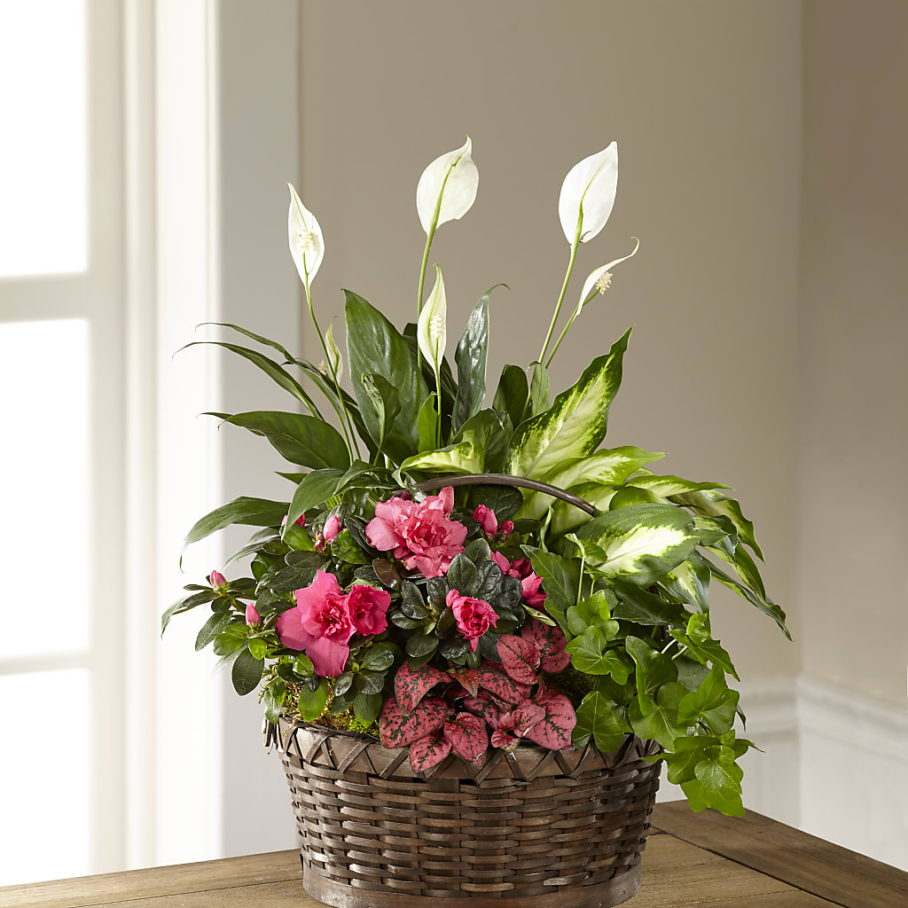 Dream in Pink Dishgarden – Flowers Forever, Carlsbad CA