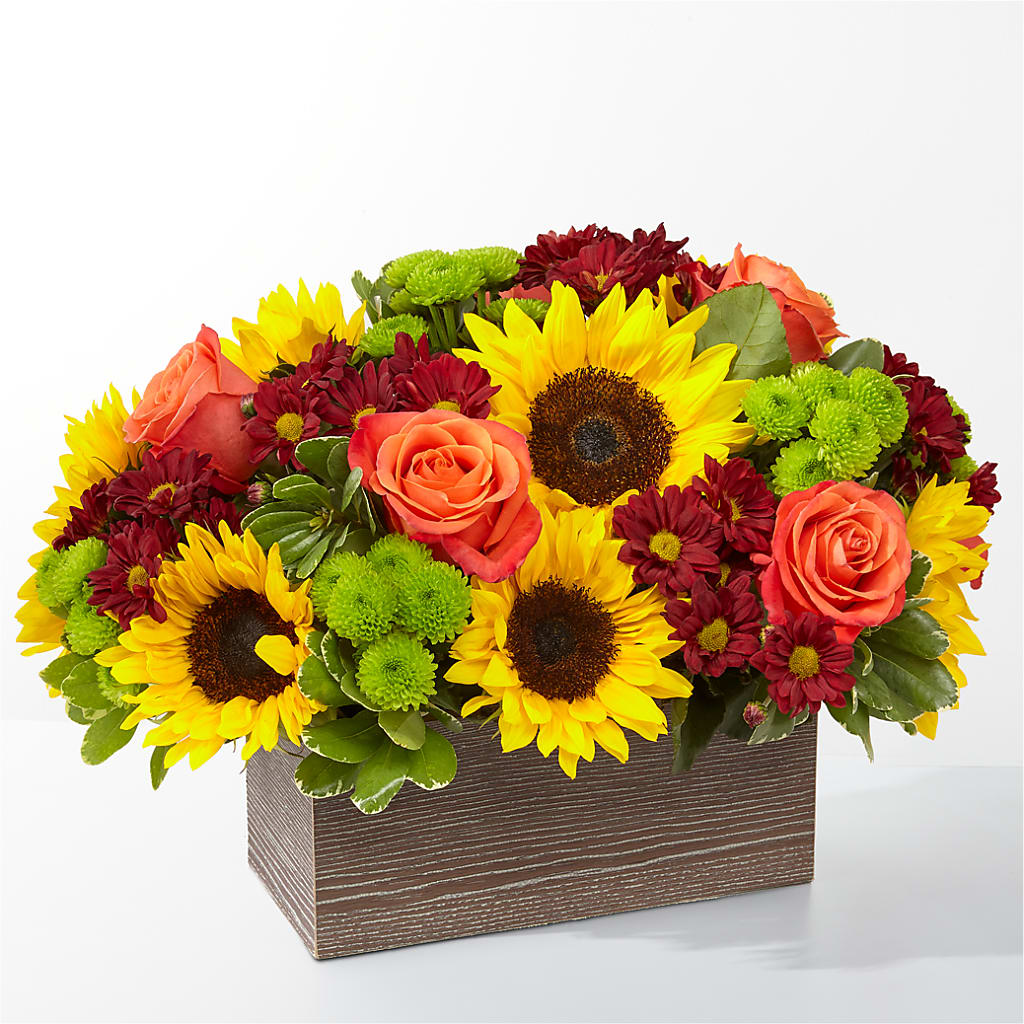 Happy Harvest Garden – Flowers Forever, Carlsbad CA