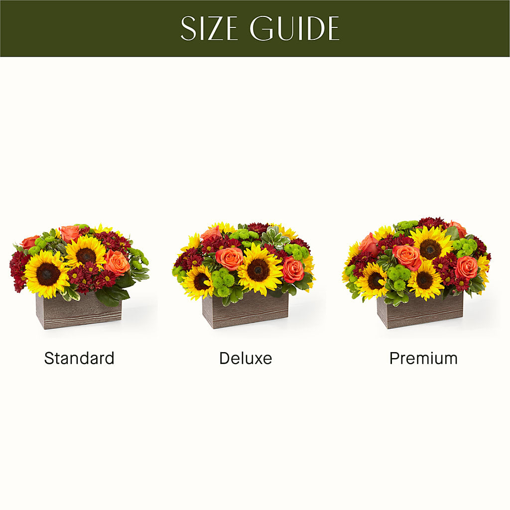 Happy Harvest Garden – Flowers Forever, Carlsbad CA
