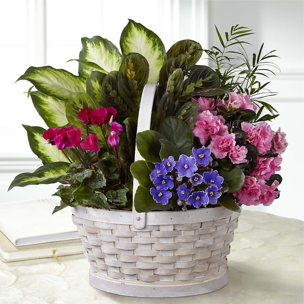 Peaceful Garden Planter – Flowers Forever, Carlsbad CA