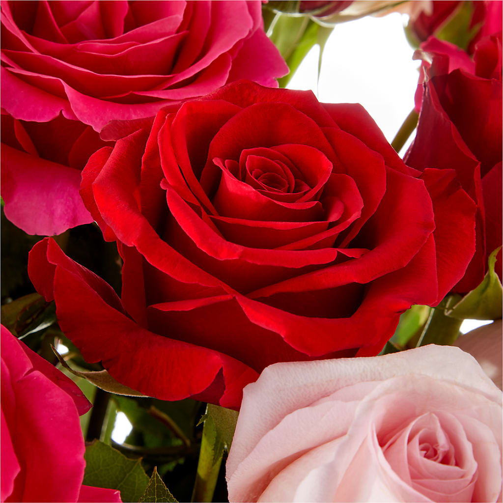 Love Notes Rose Bouquet – Flowers Forever, Carlsbad CA