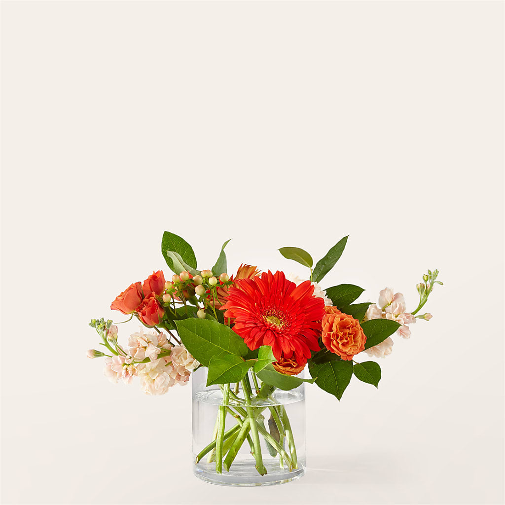Paloma Please Bouquet – Flowers Forever, Carlsbad CA