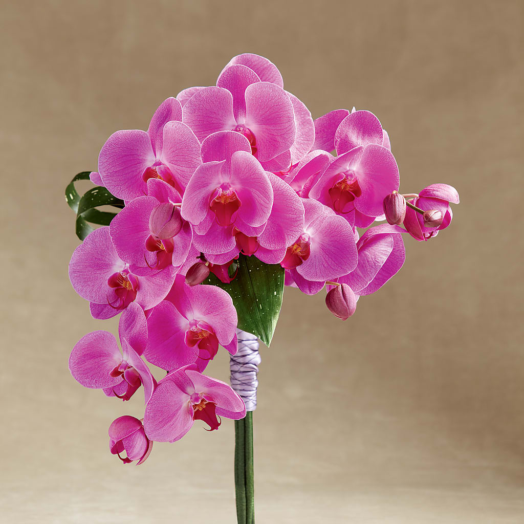 Glorious Bouquet – Flowers Forever, Carlsbad CA