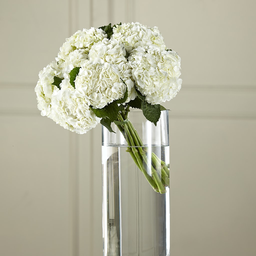 White Hydrangea Hand-Tied Bouquet – Flowers Forever, Carlsbad CA