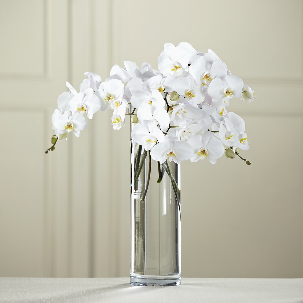 White Phalaenopsis Bouquet – Flowers Forever, Carlsbad CA