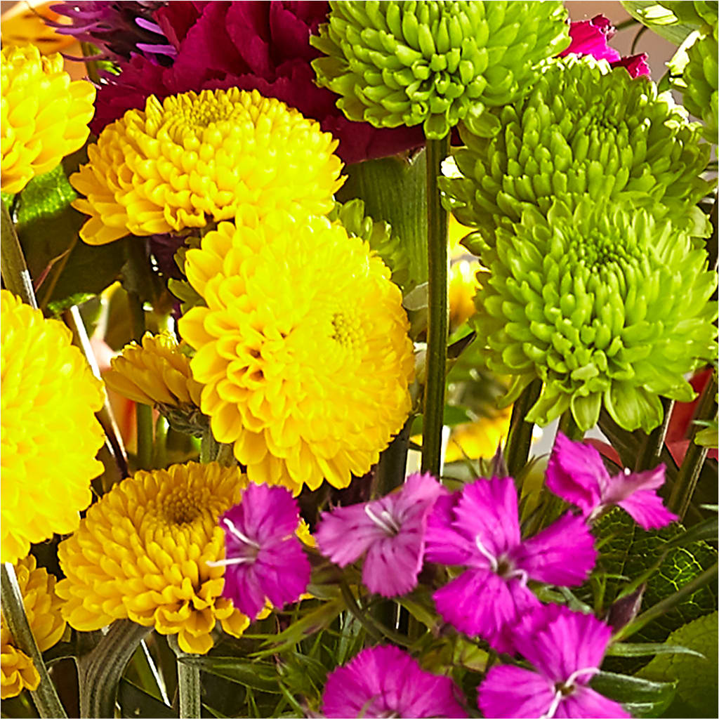 Bold & Bright – A Florist Original –  Flowers Forever, Carlsbad CA