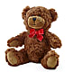 Adorable Plush Bear –  Flowers Forever, Carlsbad CA