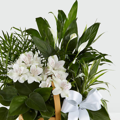 Peace & Serenity Dishgarden –  Flowers Forever, Carlsbad CA