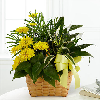 Loving Light Dishgarden –  Flowers Forever, Carlsbad CA