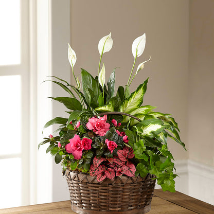 Dream in Pink Dishgarden –  Flowers Forever, Carlsbad CA