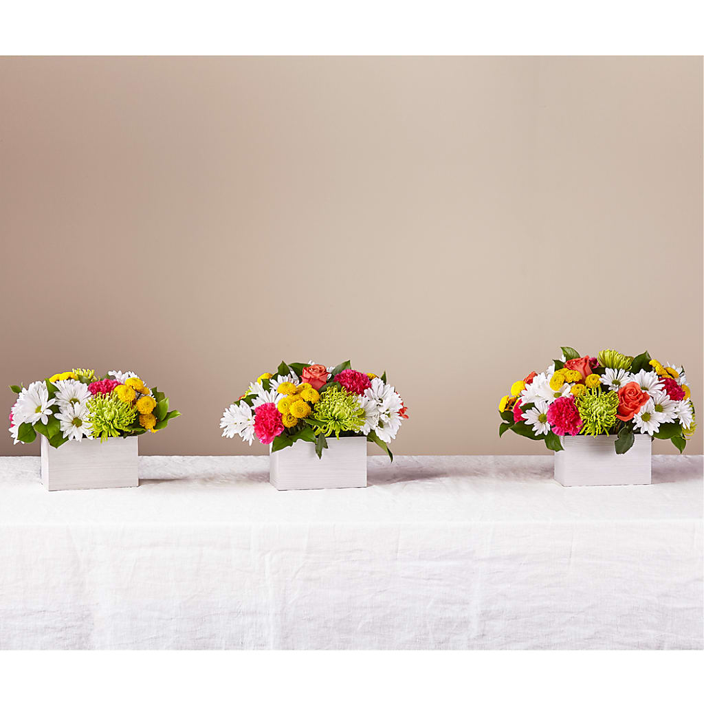 Sorbet Bouquet –  Flowers Forever, Carlsbad CA