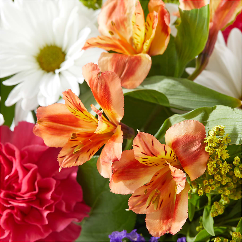 Oopsie Daisy Box Bouquet –  Flowers Forever, Carlsbad CA