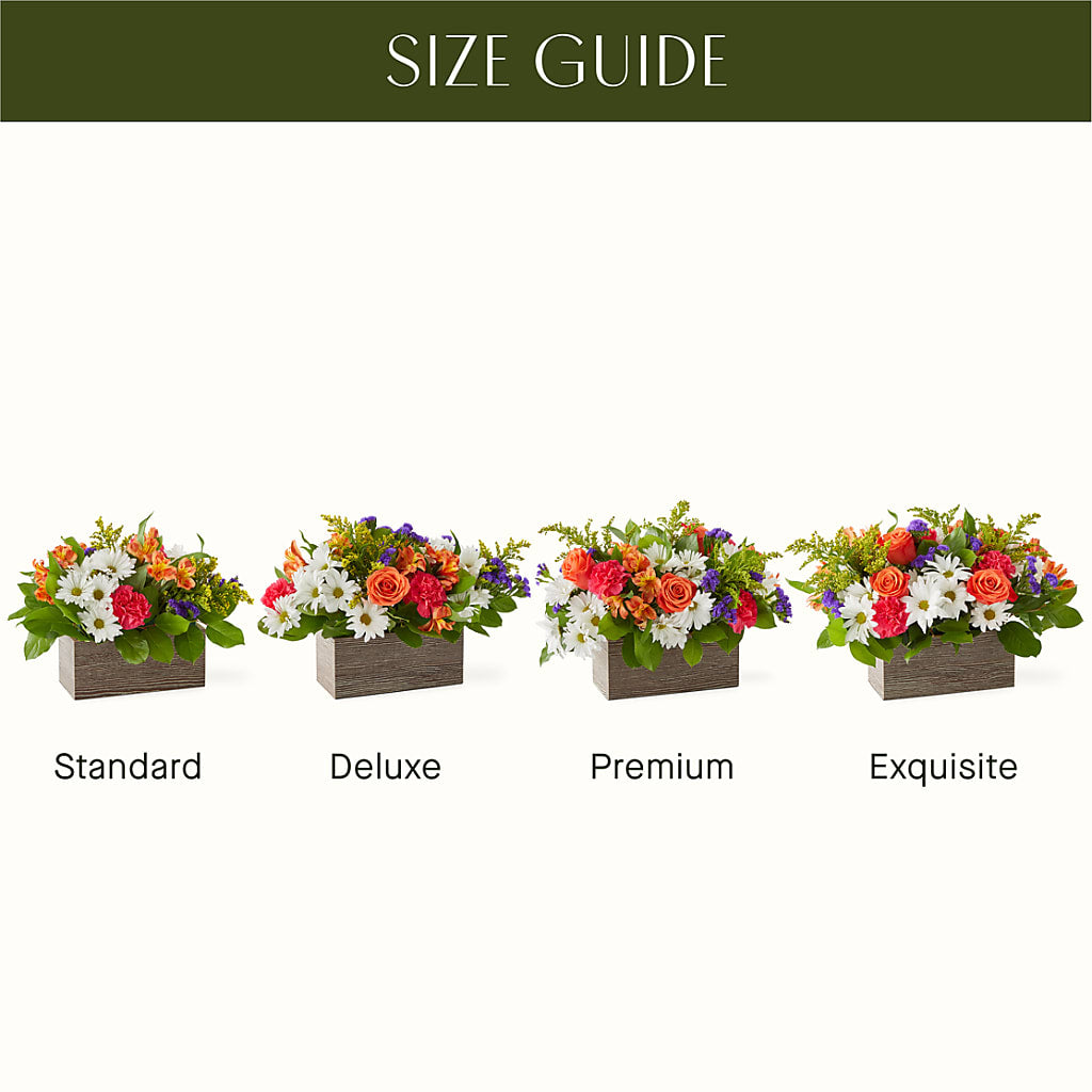 Oopsie Daisy Box Bouquet –  Flowers Forever, Carlsbad CA