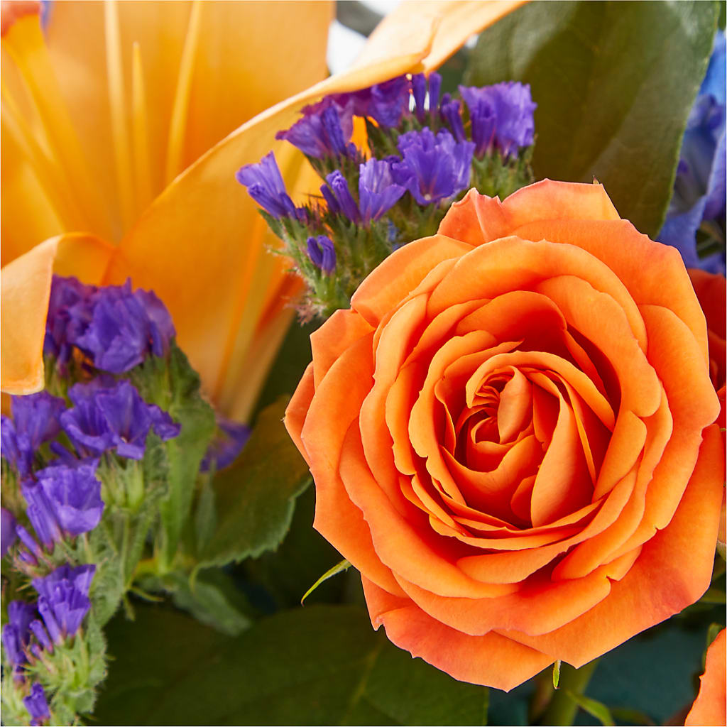 Radiant Citrus Box Bouquet –  Flowers Forever, Carlsbad CA