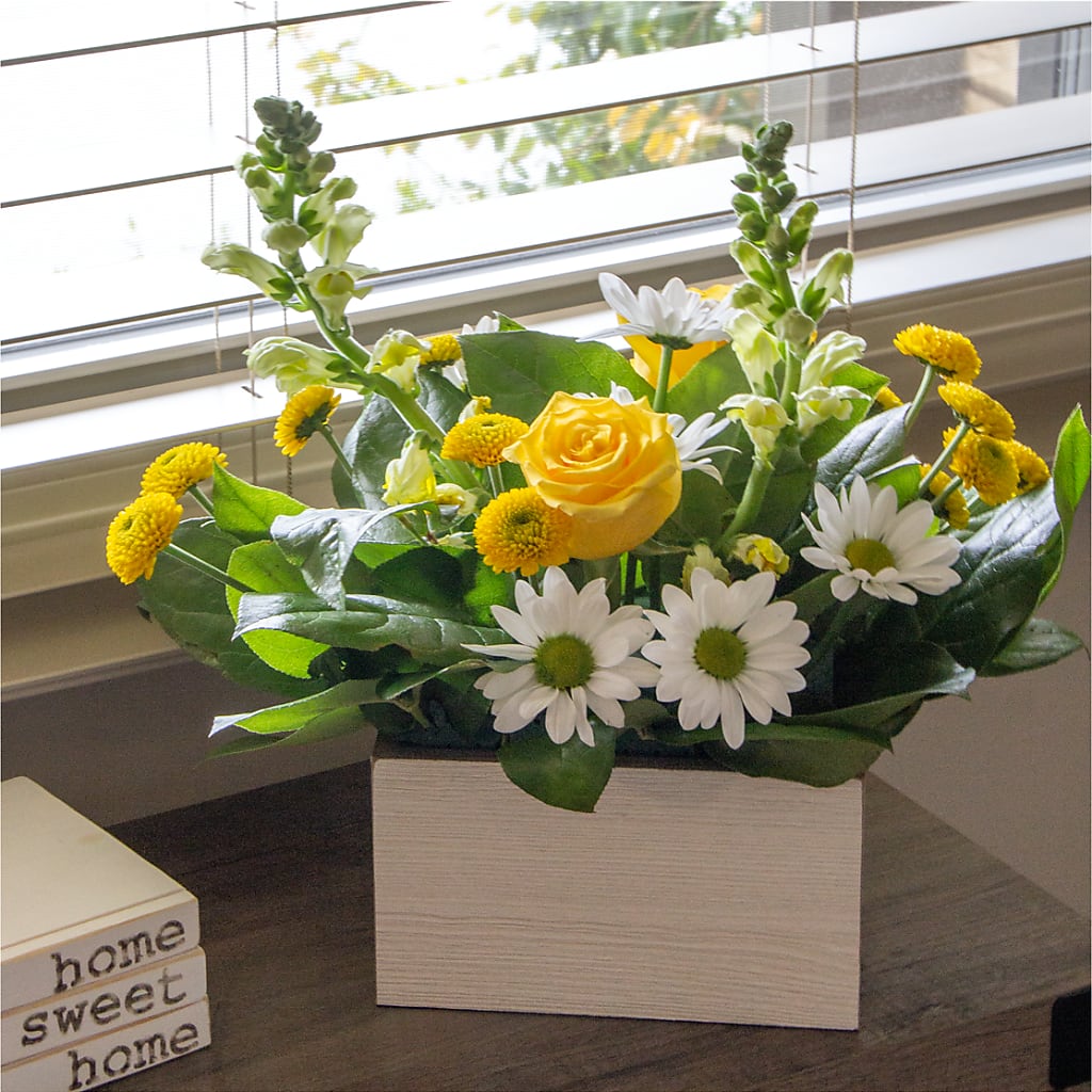 Sun Salutation Box Bouquet –  Flowers Forever, Carlsbad CA