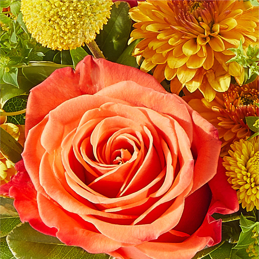 Gourdgeous Pumpkin –  Flowers Forever, Carlsbad CA