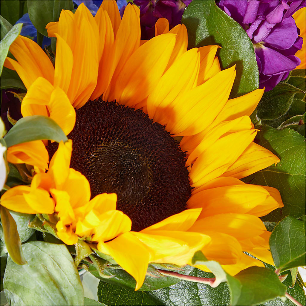 Catching Rays Bouquet –  Flowers Forever, Carlsbad CA