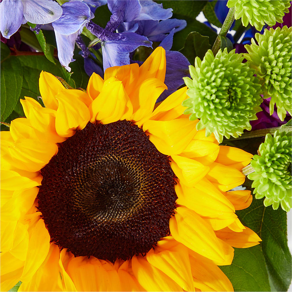 Catching Rays Bouquet –  Flowers Forever, Carlsbad CA