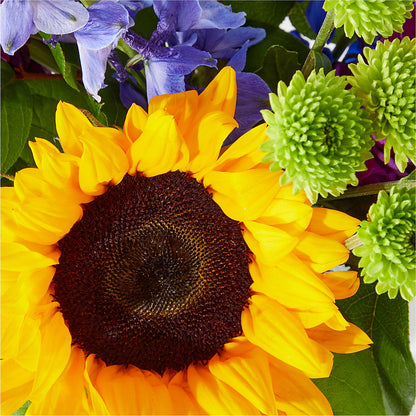 Catching Rays Bouquet –  Flowers Forever, Carlsbad CA