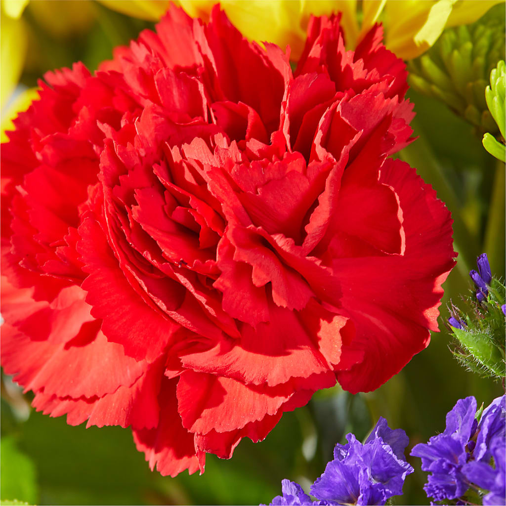 Brighter Days Bouquet –  Flowers Forever, Carlsbad CA