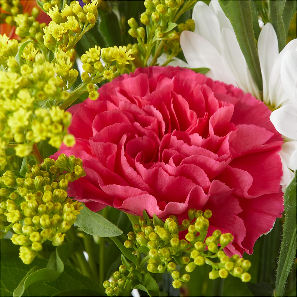Oopsie Daisy Bouquet –  Flowers Forever, Carlsbad CA