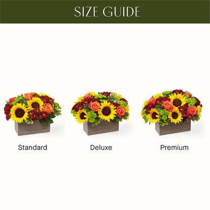 Happy Harvest Garden –  Flowers Forever, Carlsbad CA