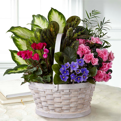 Peaceful Garden Planter –  Flowers Forever, Carlsbad CA