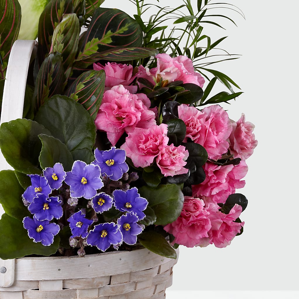Peaceful Garden Planter –  Flowers Forever, Carlsbad CA
