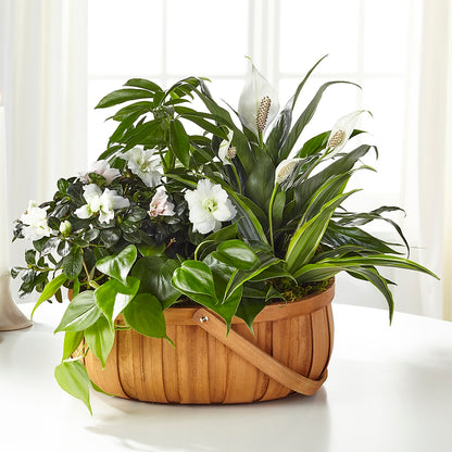 Serene Dishgarden –  Flowers Forever, Carlsbad CA