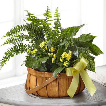 Always Dear Dishgarden –  Flowers Forever, Carlsbad CA
