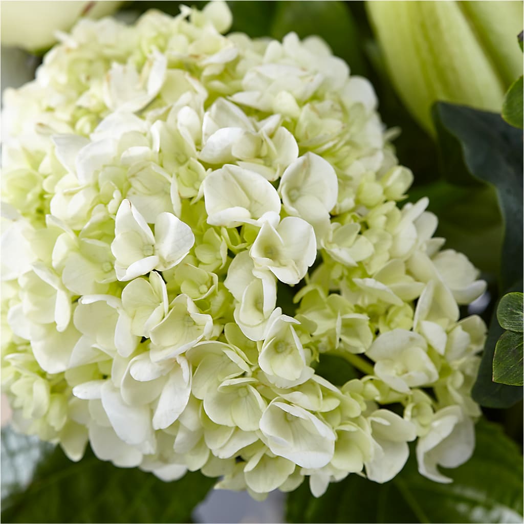 Classic Ivory – A Florist Original –  Flowers Forever, Carlsbad CA