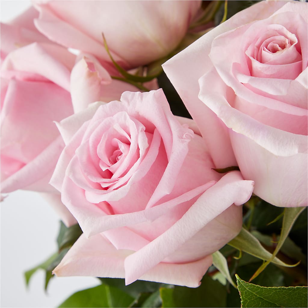 Picture Perfect Pink Rose Bouquet –  Flowers Forever, Carlsbad CA