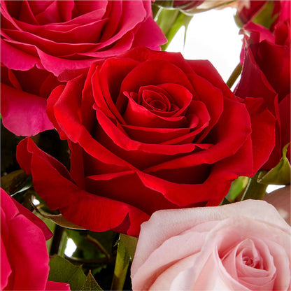 Love Notes Rose Bouquet –  Flowers Forever, Carlsbad CA
