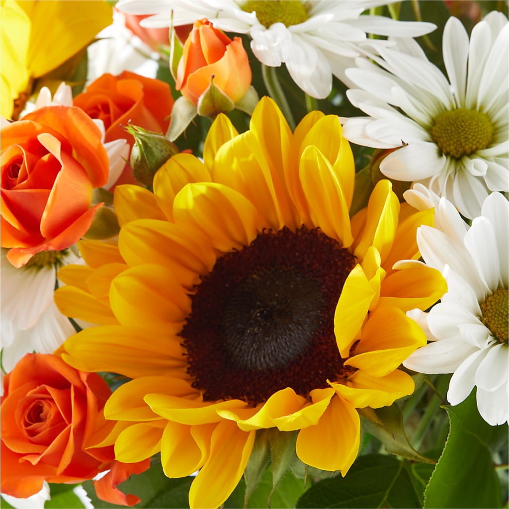 Sun-drenched Blooms Bouquet –  Flowers Forever, Carlsbad CA