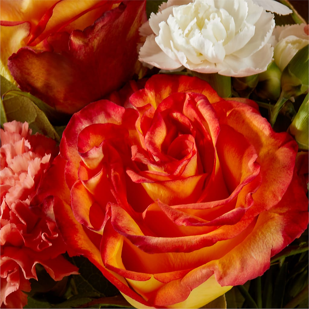 Apricot Glow Bouquet –  Flowers Forever, Carlsbad CA