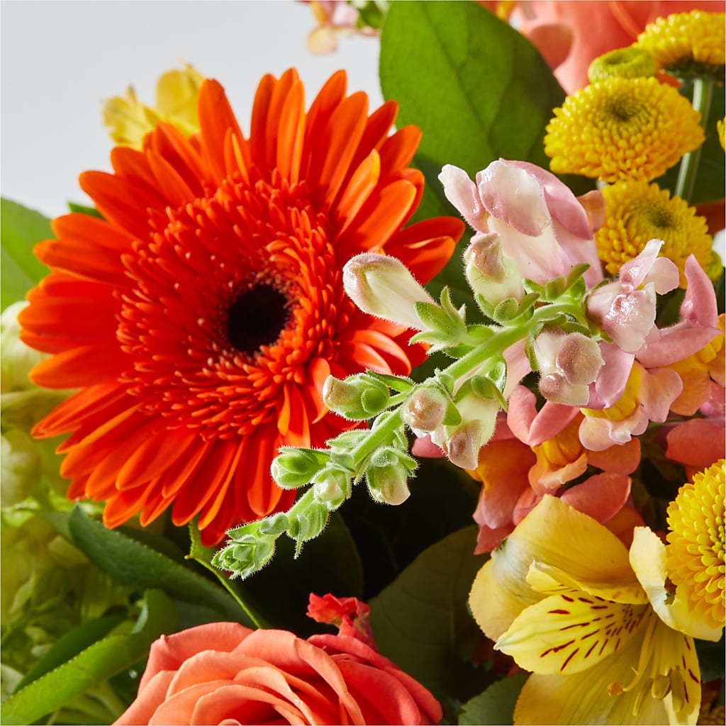 Autumn Sunshine Bouquet –  Flowers Forever, Carlsbad CA