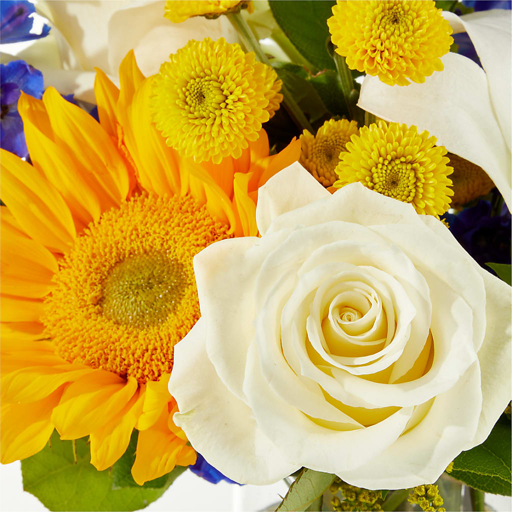 Stargazing Bouquet –  Flowers Forever, Carlsbad CA