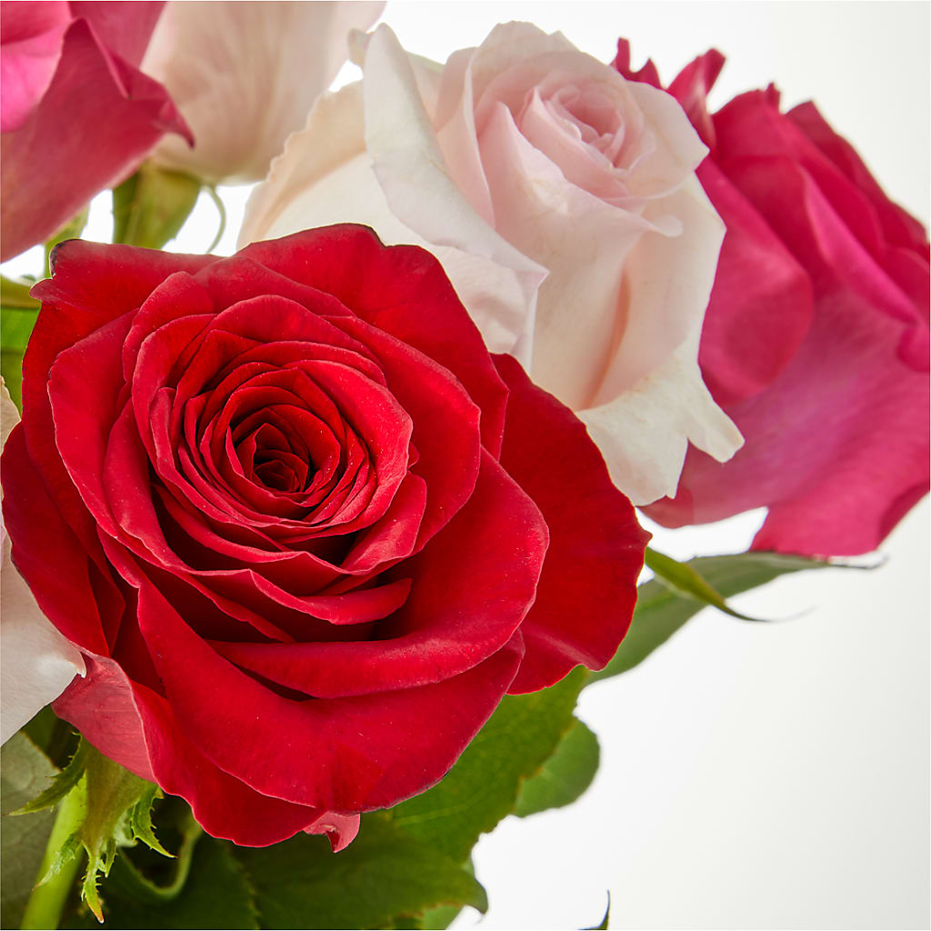 Charming Rose Bouquet –  Flowers Forever, Carlsbad CA