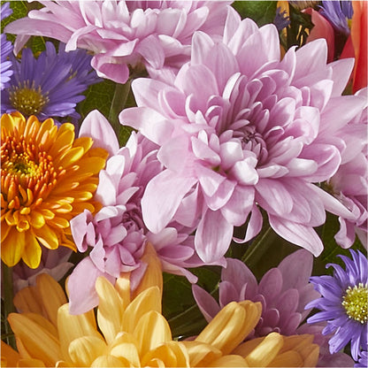 Countryside Bouquet –  Flowers Forever, Carlsbad CA