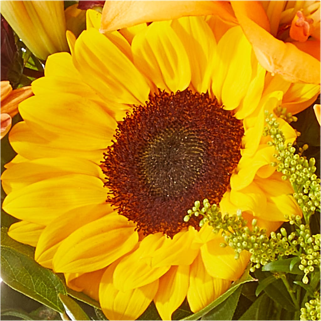 Seasons Change Bouquet –  Flowers Forever, Carlsbad CA