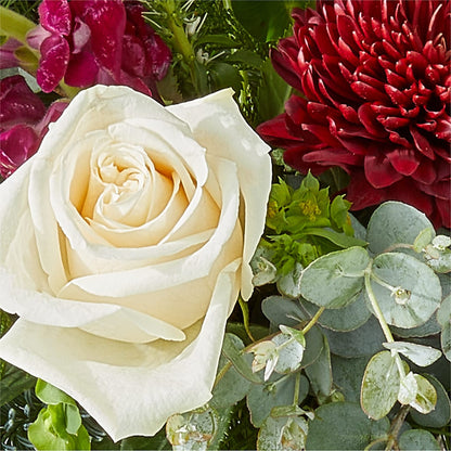 Cranberry Fizz Bouquet –  Flowers Forever, Carlsbad CA
