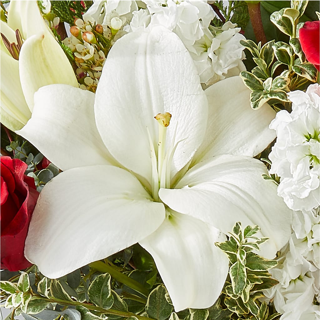 Twinkle Lights Bouquet –  Flowers Forever, Carlsbad CA
