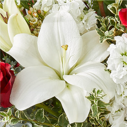 Twinkle Lights Bouquet –  Flowers Forever, Carlsbad CA
