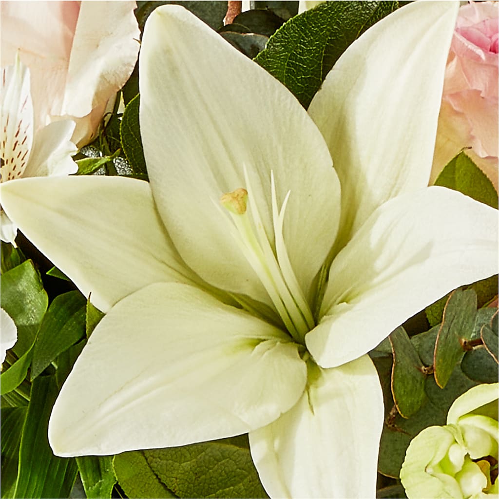 Ballet Slippers Bouquet –  Flowers Forever, Carlsbad CA