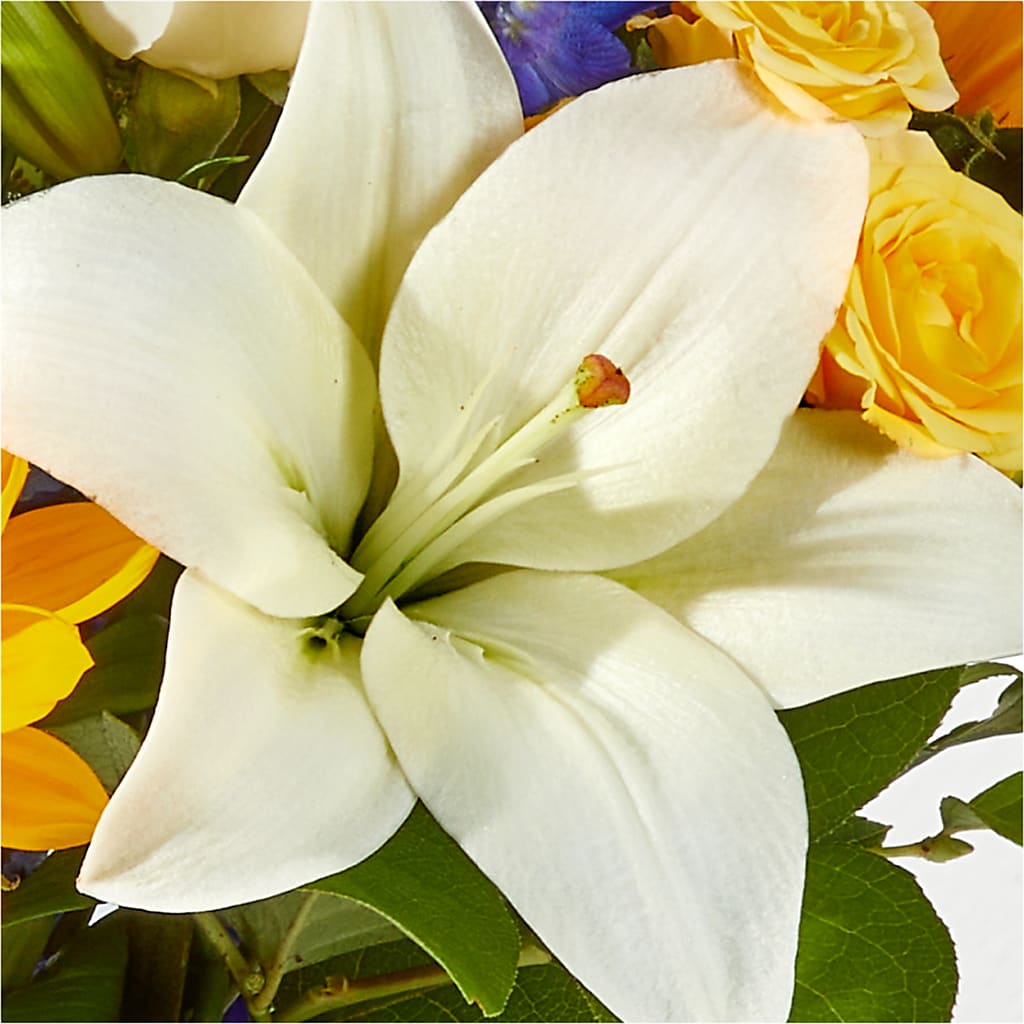 Wonderfully Sunny Bouquet –  Flowers Forever, Carlsbad CA