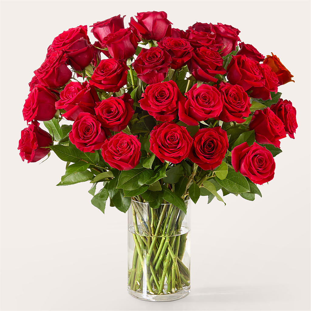 The One Red Rose Bouquet –  Flowers Forever, Carlsbad CA