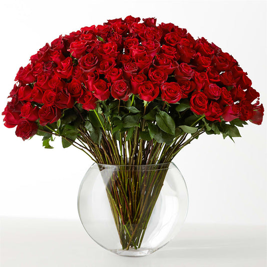 The Idealist –  Flowers Forever, Carlsbad CA
